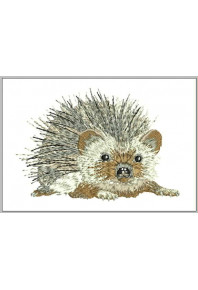 Pet053 - Little Hedgehog